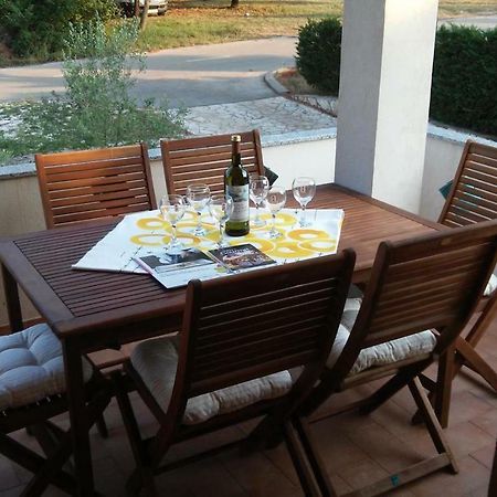 Delfin Apartment Novigrad  Exterior photo