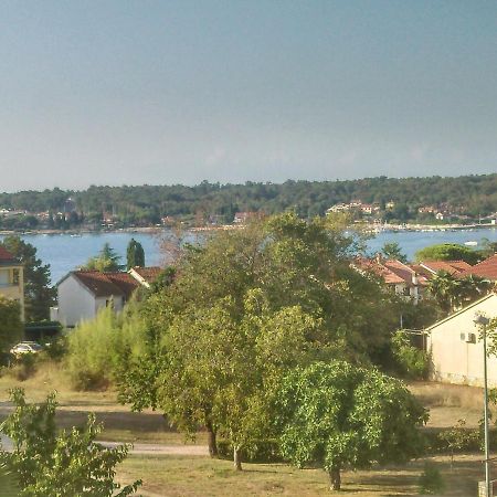 Delfin Apartment Novigrad  Exterior photo