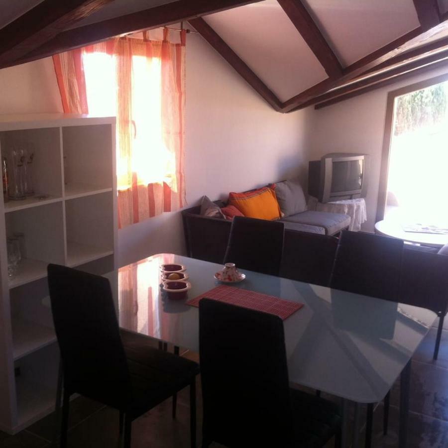 Delfin Apartment Novigrad  Exterior photo