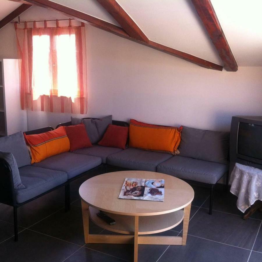 Delfin Apartment Novigrad  Exterior photo