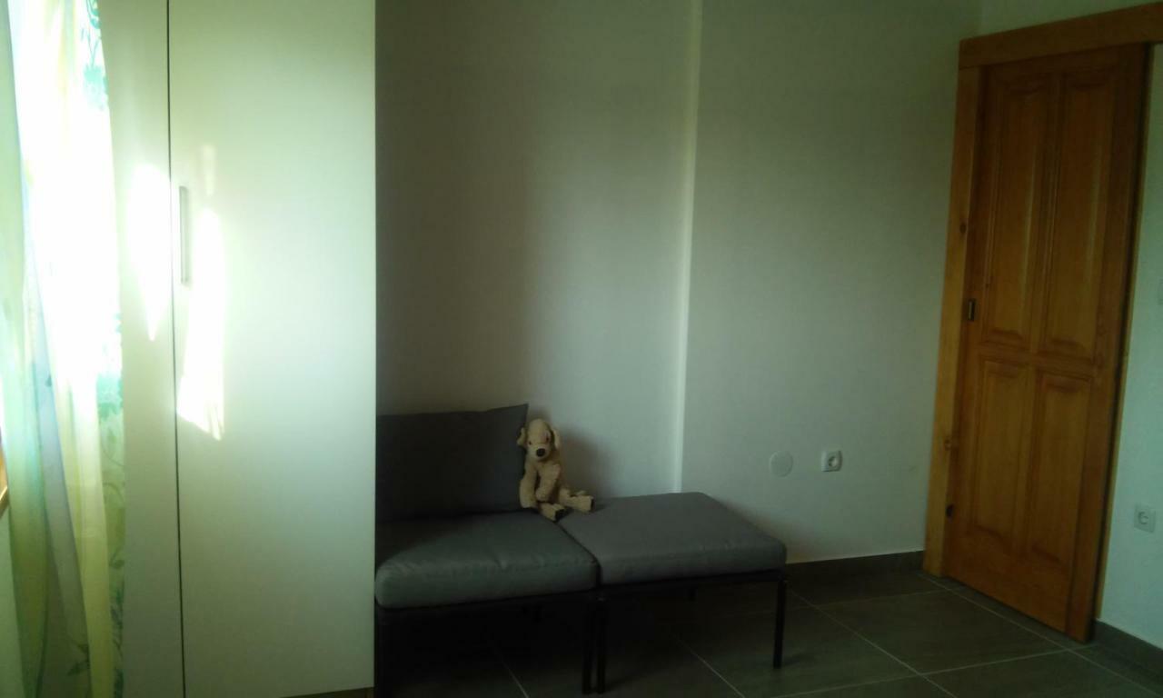 Delfin Apartment Novigrad  Exterior photo