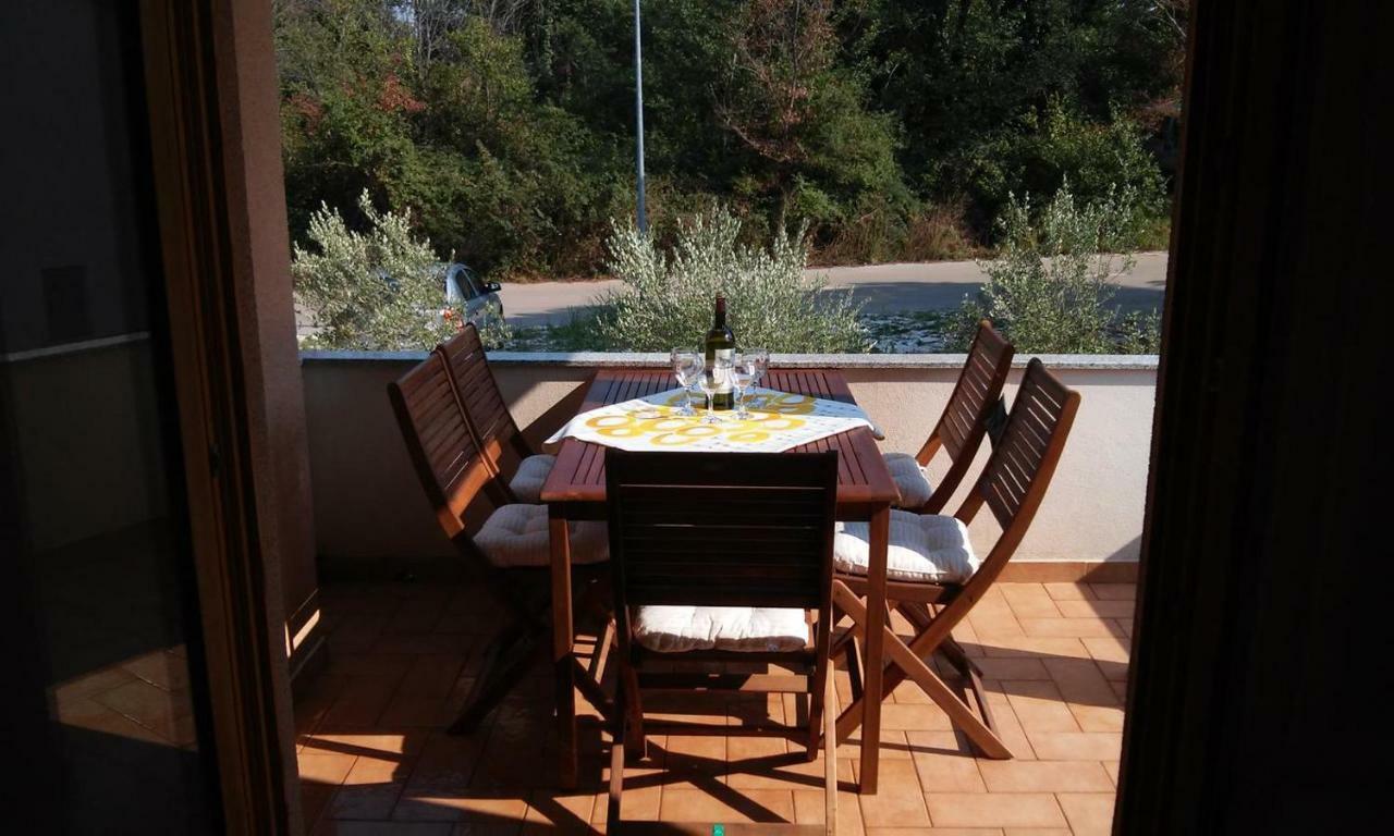 Delfin Apartment Novigrad  Exterior photo