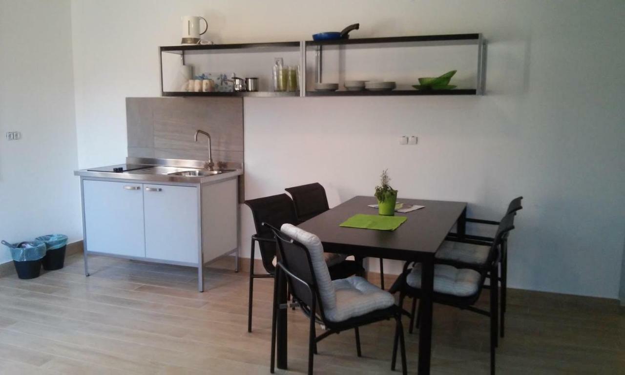 Delfin Apartment Novigrad  Exterior photo