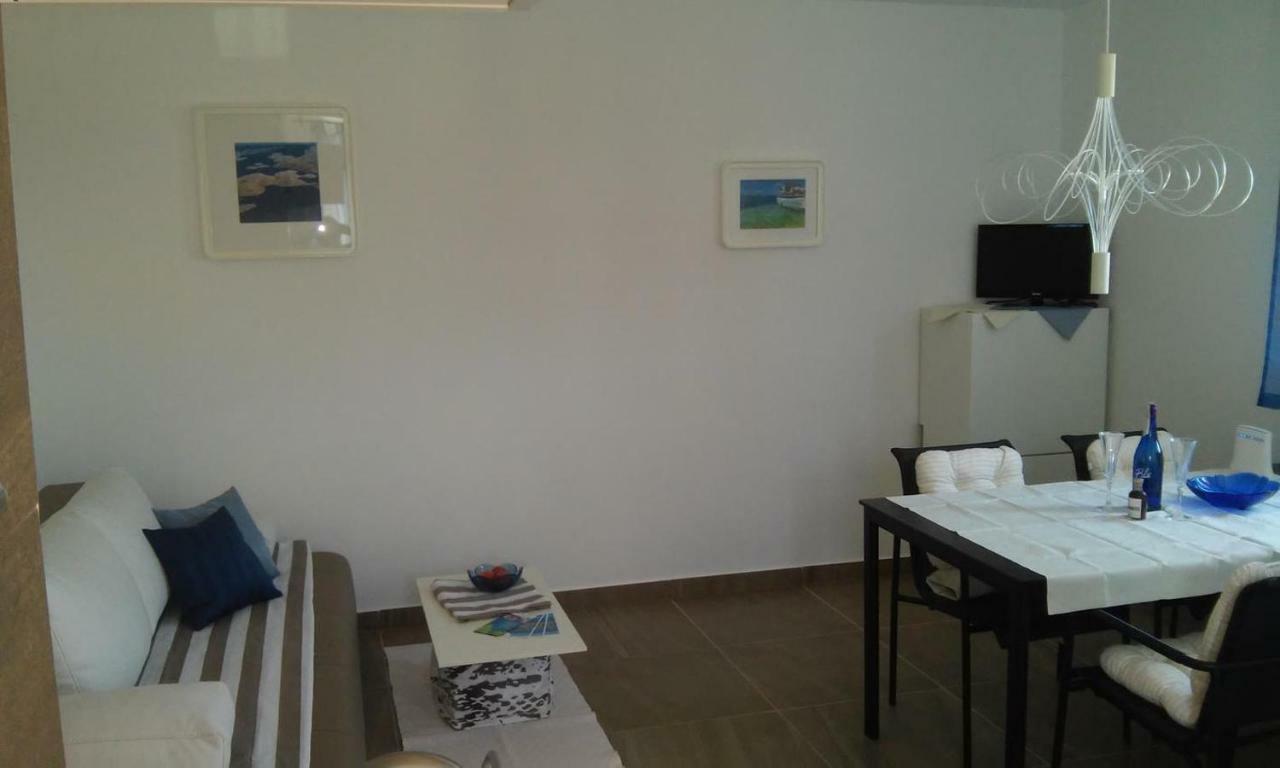 Delfin Apartment Novigrad  Exterior photo