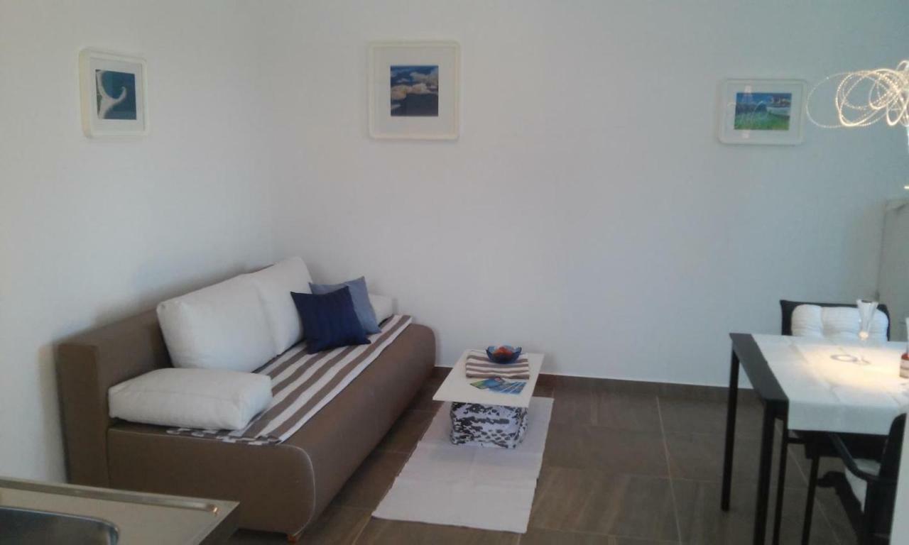 Delfin Apartment Novigrad  Exterior photo