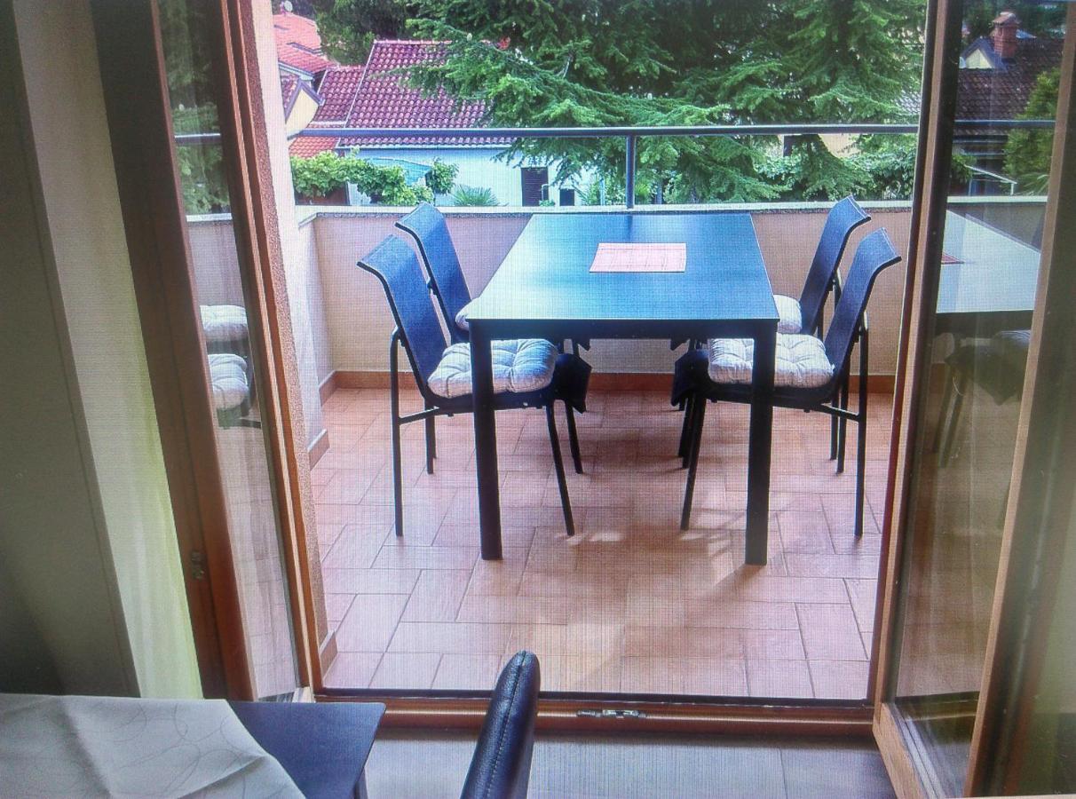 Delfin Apartment Novigrad  Exterior photo